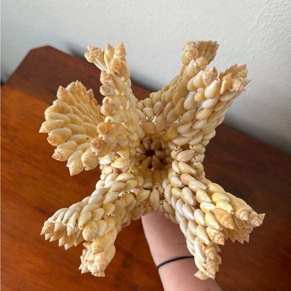 Extra large Polynesian shell vase - Picture 3 of 7